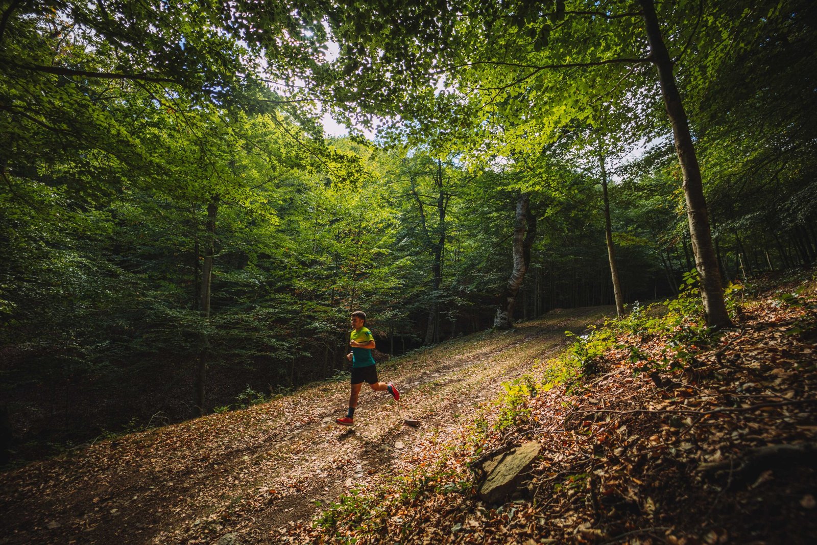ULTRA-TRAIL